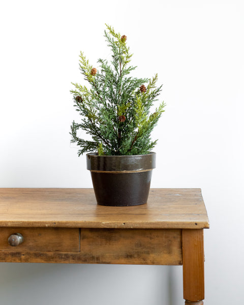 Small Handled Bowl with Lid – Brown Paper Thrift