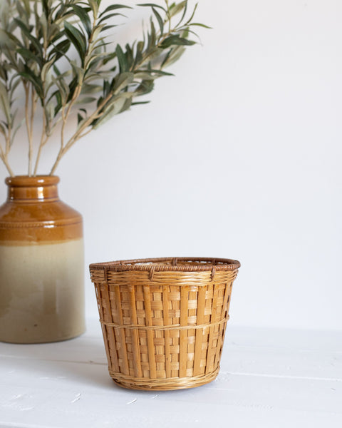 Wicker Plant Basket