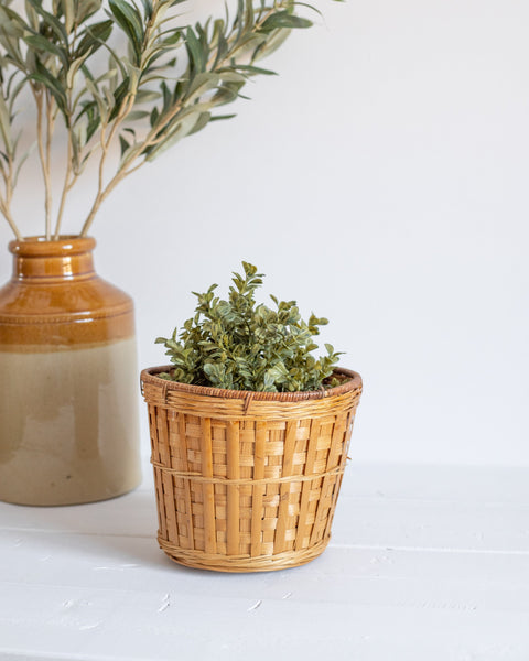 Wicker Plant Basket