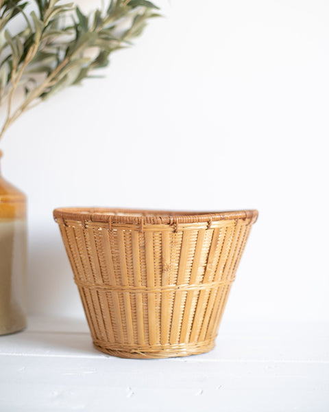 Thrifted Wicker Plant Basket